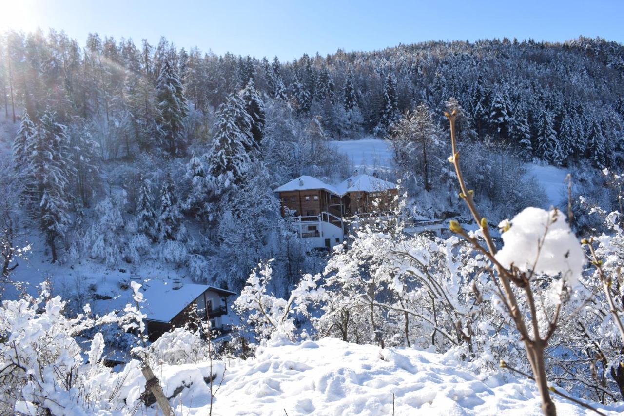 Schlossblick Fiè Cameră foto